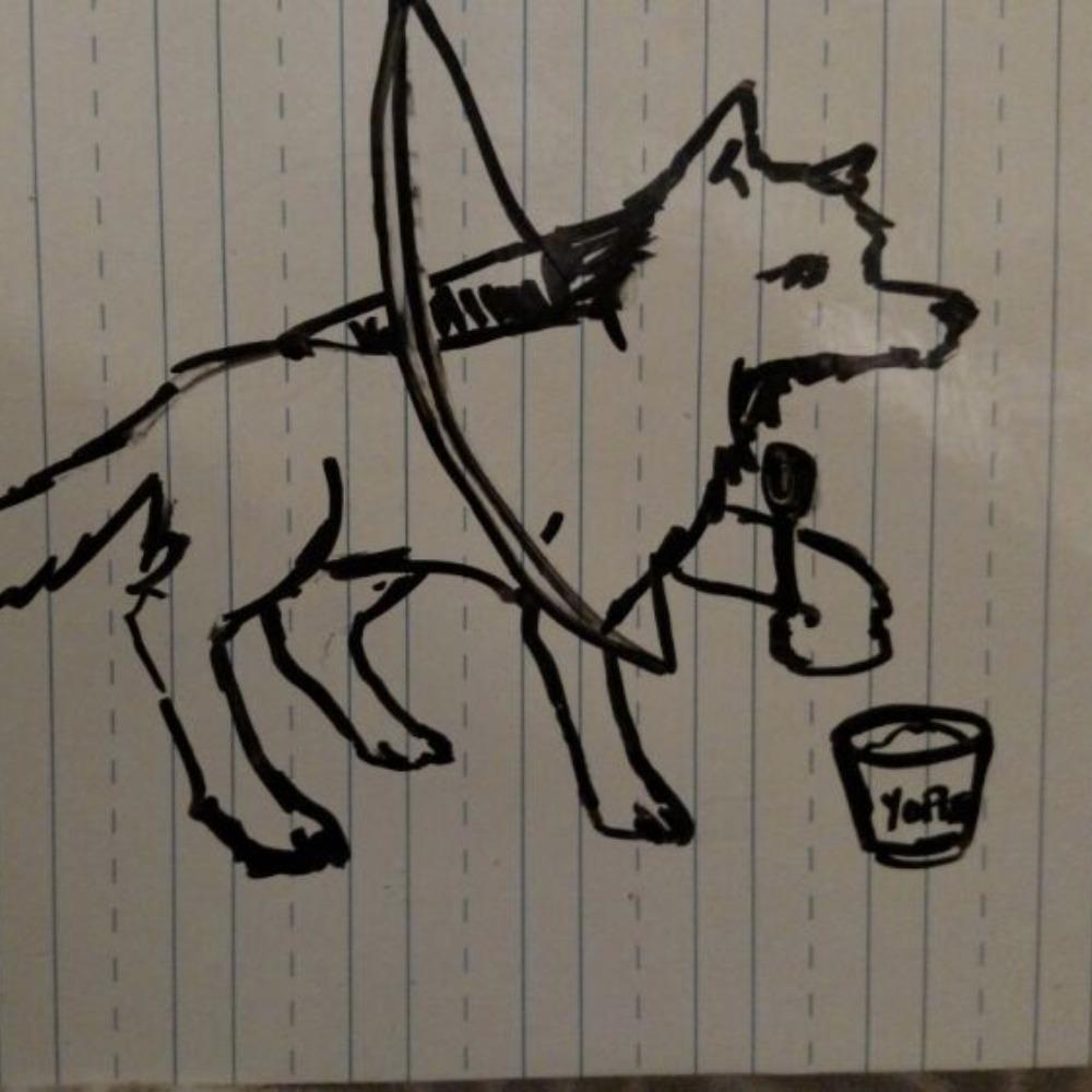 Wolf with a bow eating a yogurt: by Anonymous (Sep 4, 2015)